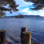 A scenic landscape featuring a calm lake with a small island of trees in the middle distance, framed by pine branches in the foreground. Distant mountains are visible under a bright blue sky with wispy clouds. Several wooden posts emerge from the water in the lower part of the image.